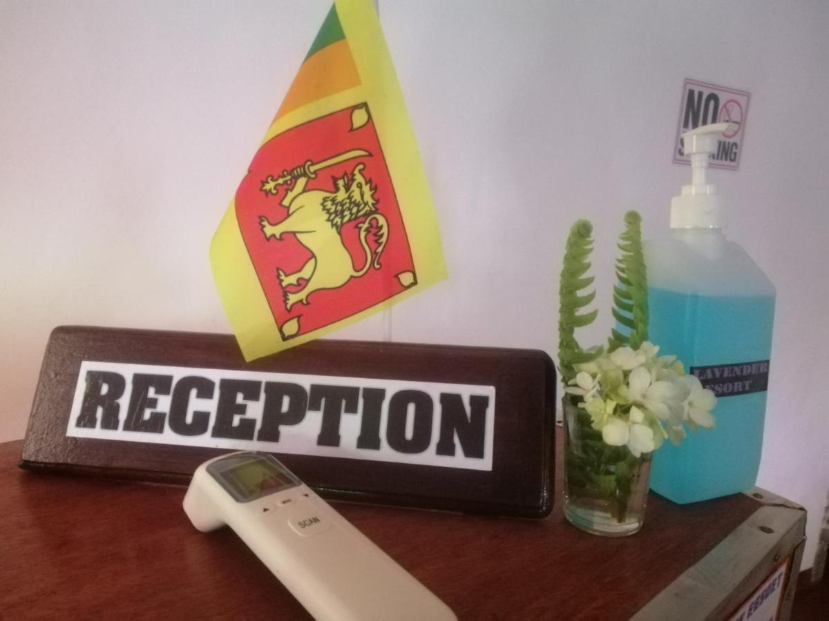 Lavender Resort Nuwara Eliya Zewnętrze zdjęcie
