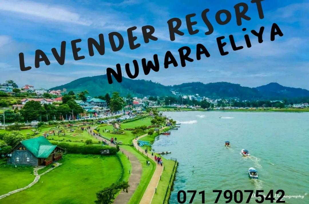 Lavender Resort Nuwara Eliya Zewnętrze zdjęcie